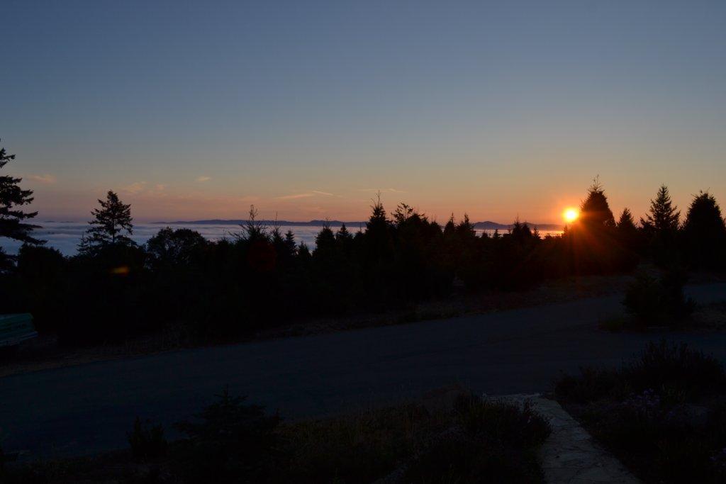 FourWindssunrise.jpg