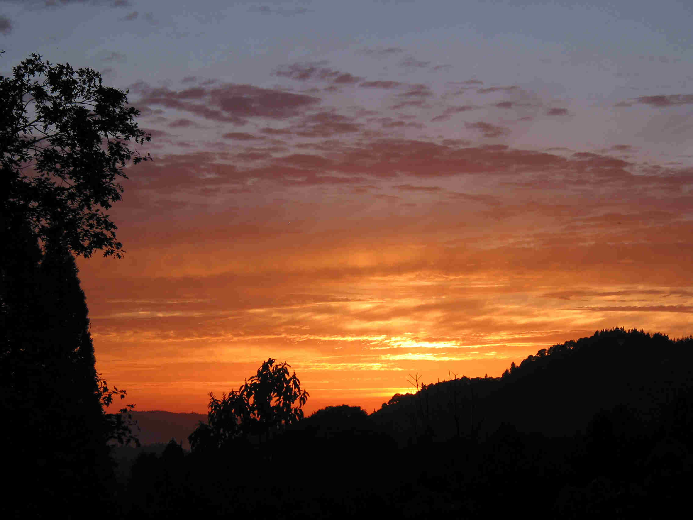 ranchsunset.jpg